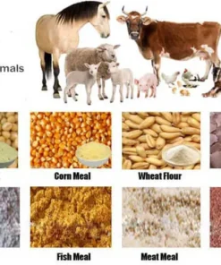 ANIMAL FEED WHOLESALE