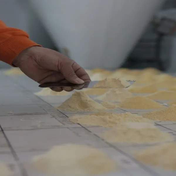 CORN GRITS - Image 4