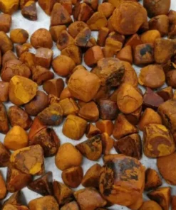 OX COW GALLSTONES