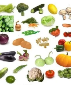 FRESH VEGETABLES 100% ORGANIC