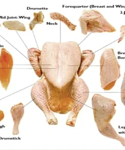 HALAL FROZEN CHICKEN PARTS