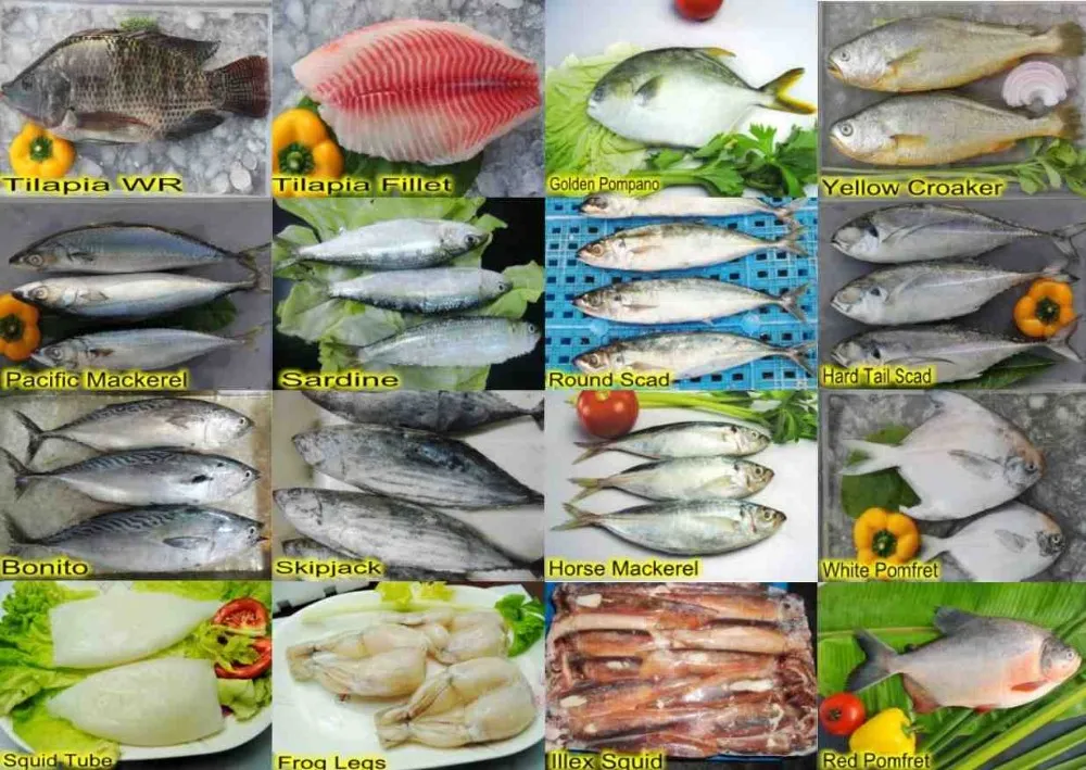 FRESH FROZEN FISH FOR SALE