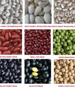 KIDNEY BEANS WHOLESALE