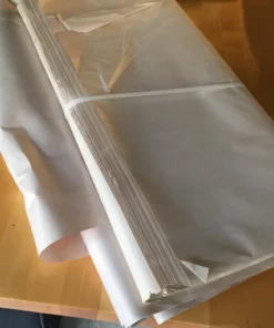 Alternative view of Henectus tincidunt