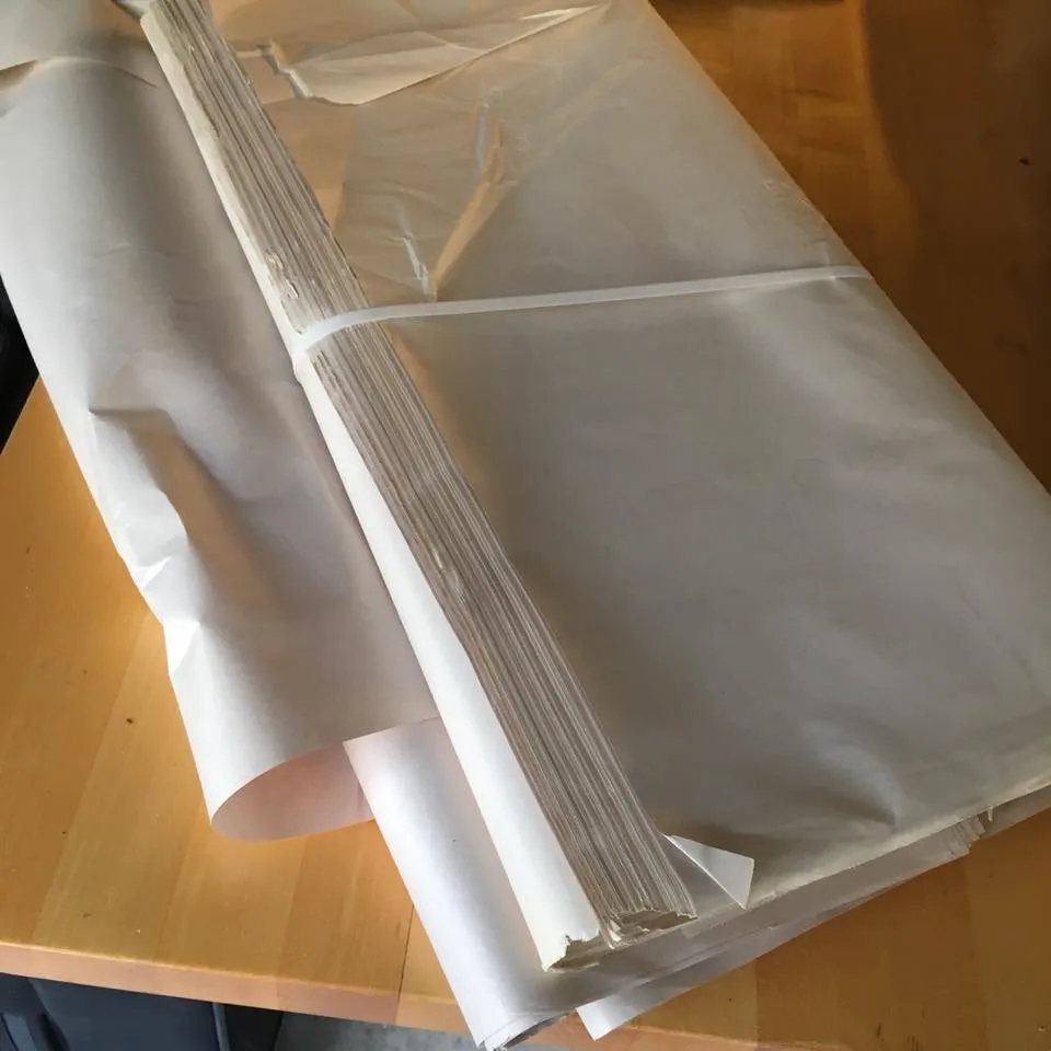 Henectus tincidunt - Image 2