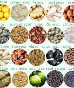 OIL SEED