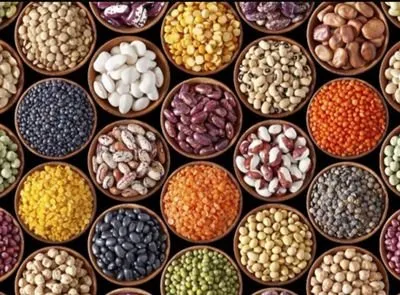 Alternative view of OIL SEED