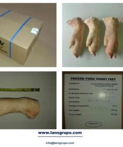 FROZEN PORK MEAT SUPPLIERS